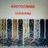 ирина ермоленко