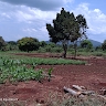 Mucunguzi Sam