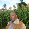 Kariithi Kanake