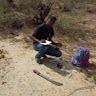 kiprono korir