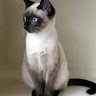 Екатерина Игинова