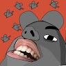 Rat  