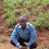 Augustus Nzuki