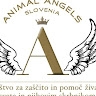 Animal Angels Slovenia