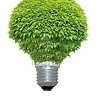 GREENBANKS AGRO-ENERGY VENTURES