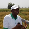 AUDU SALE DOGO