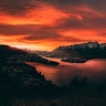 Wicks Matano