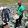 Mthobisi Jackson Zuma