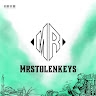 Mrstolenkeys AG