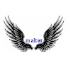 maltar  
