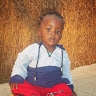 francis lambi