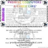 Promise Cyber