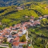 Petru Rîșneac