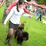 Sandra Tian'e Chows