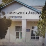 Gimnaziul Cărbuna