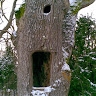 Agris Arumaa