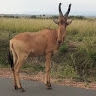 jackton okwanyo