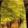 Nadeem Chaudhry