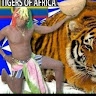 tigerof ecuador