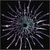 Fractals  