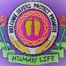 hli kenya