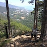 Екатерина Мороз