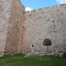 Yehudit weiss