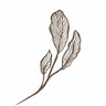 Qualia Slowlife Suites