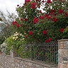 Ιωάννα Κωστούλα