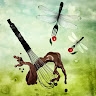 Compagnie Mirelaridaine