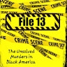File 13  