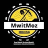 MwitMoz Investments Limited