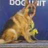 DOG UNIT RADIO ROOM