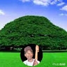 Adugna Mosissa