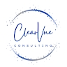 ClearVue Consulting