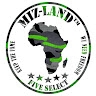 justinechileshe mizlandafrica