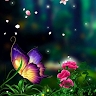 Marien N