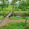 Silpa R C