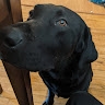 Charles  