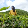 Varsha N