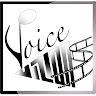 Voice Vizions
