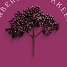 ElderberryBookkeeping  
