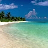 Southern Julip