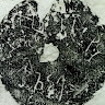 Zhen Liu