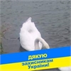 Вика Гладышева