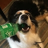 Ben Z