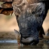 Jimmy Nyamweya