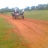 Mr F Sibanda