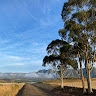 Philip Viljoen