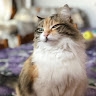 Carla  